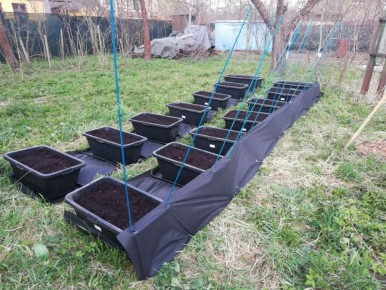 �������� �����-������: ����� ����� � ����������� ��������