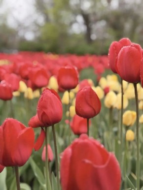 ������ ����!. ������� 24 ������, �������, �� ������������ ��� ������ �� ���� ����