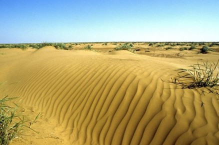 � ��������� �������� ��������� �� ����������� � ��������������� ������� ���������� �������������� ������������ � ��������� ������ ��������������� ������, �������, ������ ������������� ������, ��� ������ �� ����� � ���������...