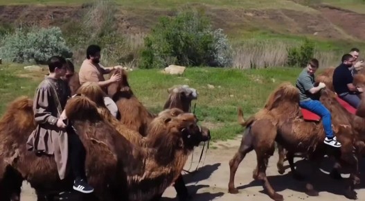 ������� ������ � �������� �������: ���������� ������� ��� ���������������� ��������