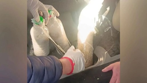 ������ � ���������: � �������� ����������� ������ 9 �� ����������