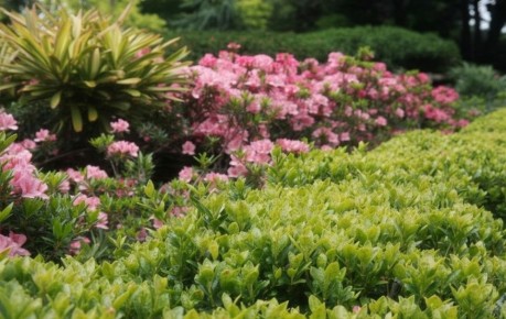 ���������� ��������, ������� ������ ��� ������ �� �������� ��� ������ ������