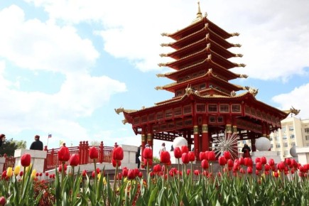 ������ ���� ����� ���������� ��������� � � ���!