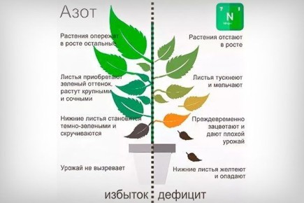 ��� ���������� ������� ��������� � �������� � ��� �� ���������� ������ ������