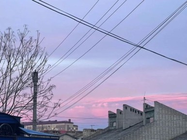 ������ ����!. ������� 26 ������, �����������, �� ������������ ��� ������ �� ���� ����