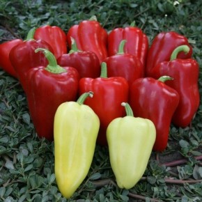 ����� ������: ��������� ������ ��� ������ ������