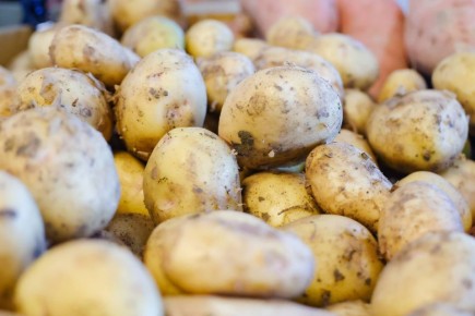 � ������ ���������� �������� ��������� � ��������� � ���������