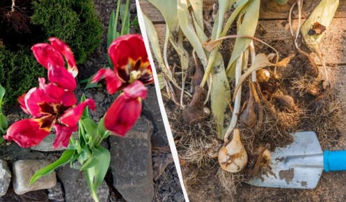 ���������������� ������ � ���������: ����� �� ������� ��� �������� �� �����?