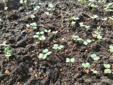 ����� � ����: ��� �������� ������ ������ � �������� ������