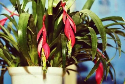 ����������: ������, ������� ��������� �������� � ��� � ���� ������������