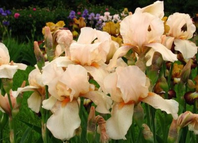 ���������� ������ � ����: ������� ��������� �����