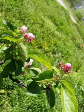 ������ ����!. ������� 29 ������, �����, �� ������������ ��� ������ �� ���� ����