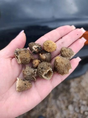 ������ ������� ����: ��� � ��������� ������ ��������� �����