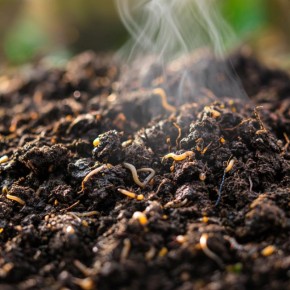 ���������� ����� �����: ��� ������� �������� ����� �����