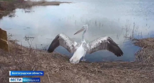 ��������� �������� ��������� �� ���� ����� ������������ � ������������� �������