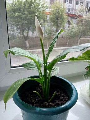 �������� ������� � ���� ������