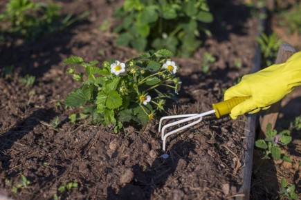 ��� ������� ����� ������: ������ ��� ��������