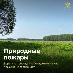 ��������� ������: ������, ������� ������ ������������