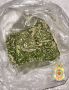 � ������������ ������ ����������� ������� ���� ����������� ������� ������������� ������� ������� �������