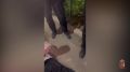 � ����������� ������� ����������� ��������� ������� ����������, ����������� �������� ����� 9 ��� ������ � �������� ������