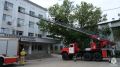 ����������� ��������� ������� �������-����������� ������� �� ���������� ���������� ������������ �������� ����� ������ ����������