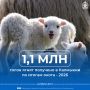 В Калмыкии завершается окотная кампания