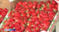 Диетолог назвала безопасную дневную порцию клубники