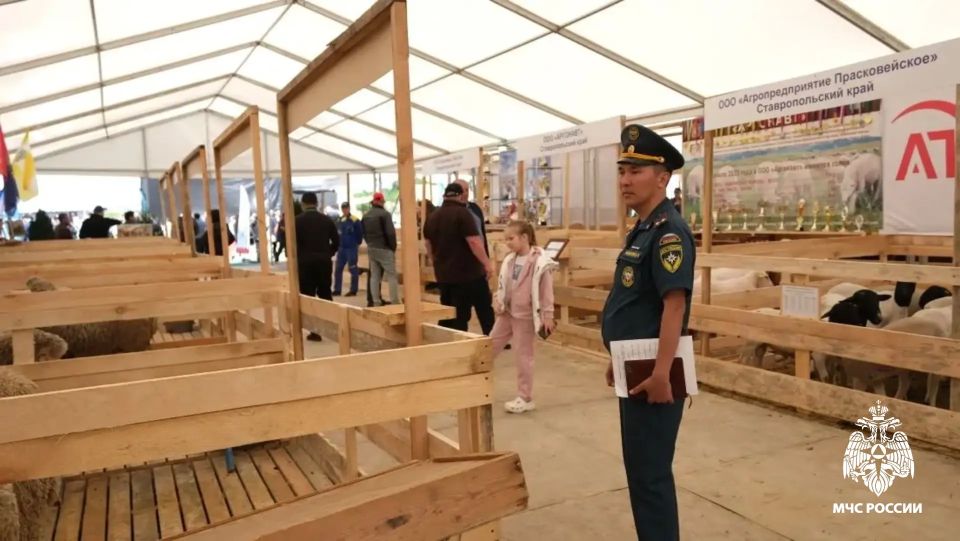 Сотрудники МЧС России обеспечивают пожарную безопасность на главном событии в сфере животноводства Сотрудники МЧС России обеспечивают пожарную безопасность на главном событии в сфере животноводства