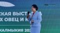 Параллельно с XXVI Всероссийской выставкой племенных овец и коз в республике проходит российский этап масштабного международного маршрута «Путешествие по Великому Шёлковому пути — 2026»