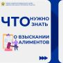 Что нужно знать о взыскании алиментов?