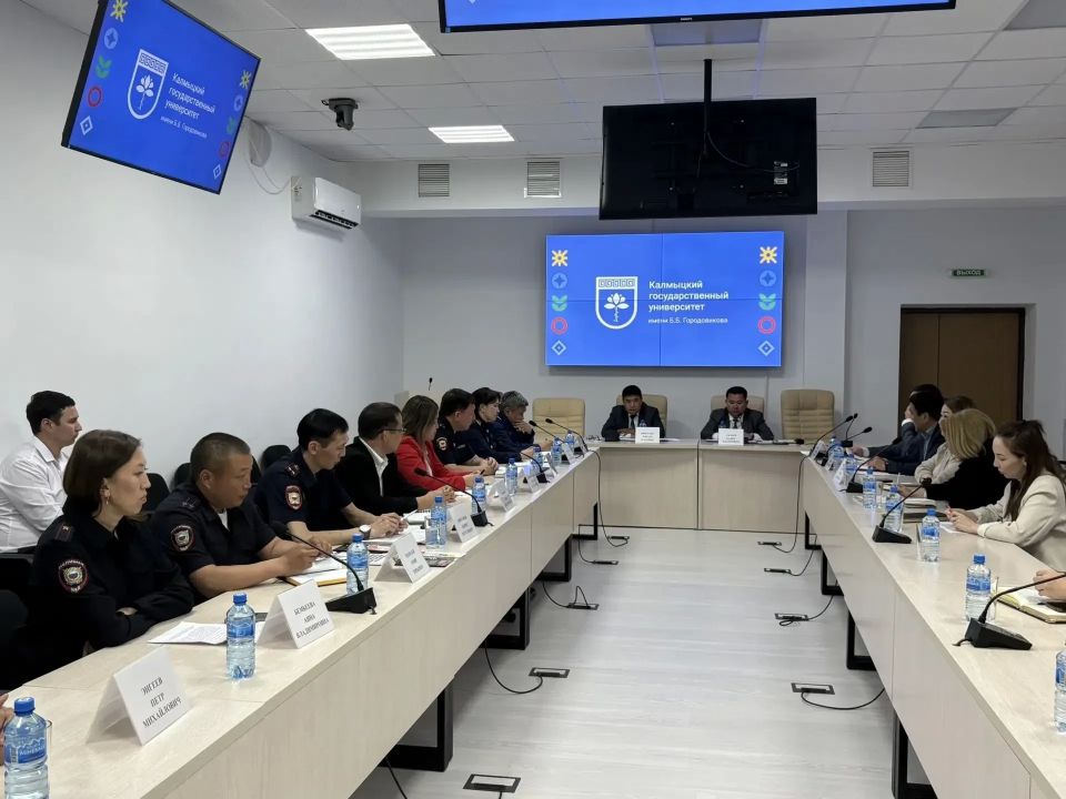 Старший помощник руководителя следственного управления принял участие в заседании рабочей группы по профилактике правонарушений и безопасности студентов