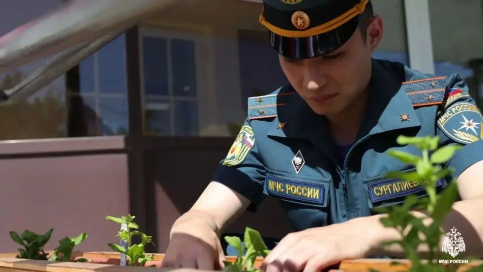 Сотрудники Главного управления присоединились к Всероссийской акции «Цветы России» Сотрудники Главного управления присоединились к Всероссийской акции «Цветы России»