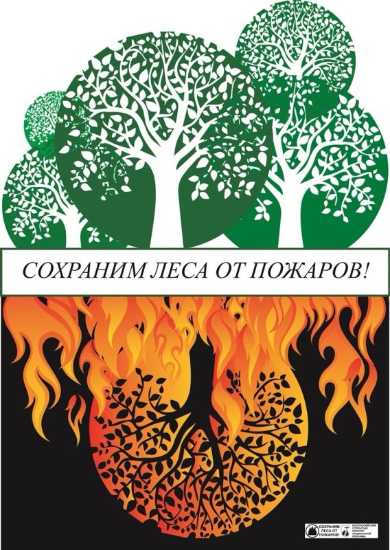Сегодня, 9 июня 2026 года, состоялось заседание штаба по координации деятельности по тушению лесных пожаров в Северо-Кавказском и Южном федеральных округах Сегодня, 9 июня 2026 года, состоялось заседание штаба по координации деятельности по тушению лесных пожаров в Северо-Кавказском и Южном федеральных округах