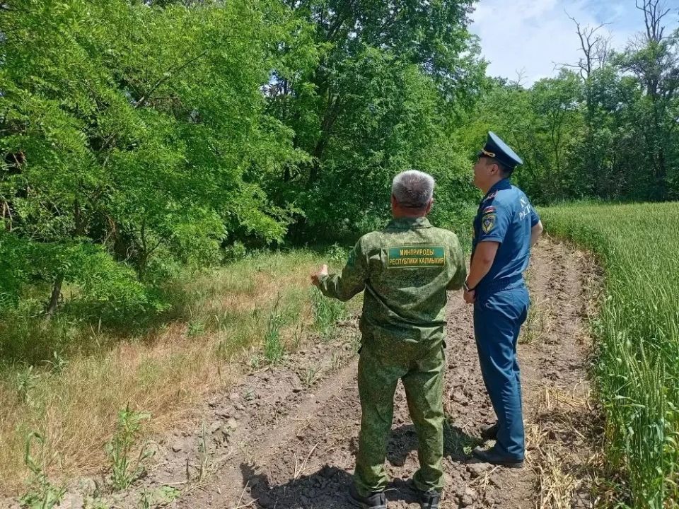 Сегодня, 9 июня 2026 года, межведомственной группой проведено обследование территории земельного участка Башантинского лесничества Сегодня, 9 июня 2026 года, межведомственной группой проведено обследование территории земельного участка Башантинского лесничества