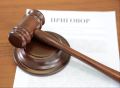 Жительница Элисты осуждена за нанесение ножевого ранения сожителю
