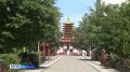 Почему в Калмыкии появилась мошка?