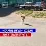��������� ����� ������� ����� �� ������� ������ ������� ���������� � �������� ��������