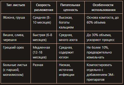Как превратить опавшие листья в полезный компост: секреты садоводов