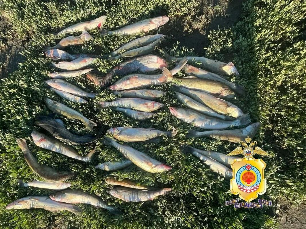 Подозреваемый в незаконной добыче водных биологических ресурсов пытался уйти от ответственности путем дачи взятки сотруднику полиции Подозреваемый в незаконной добыче водных биологических ресурсов пытался уйти от ответственности путем дачи взятки сотруднику полиции