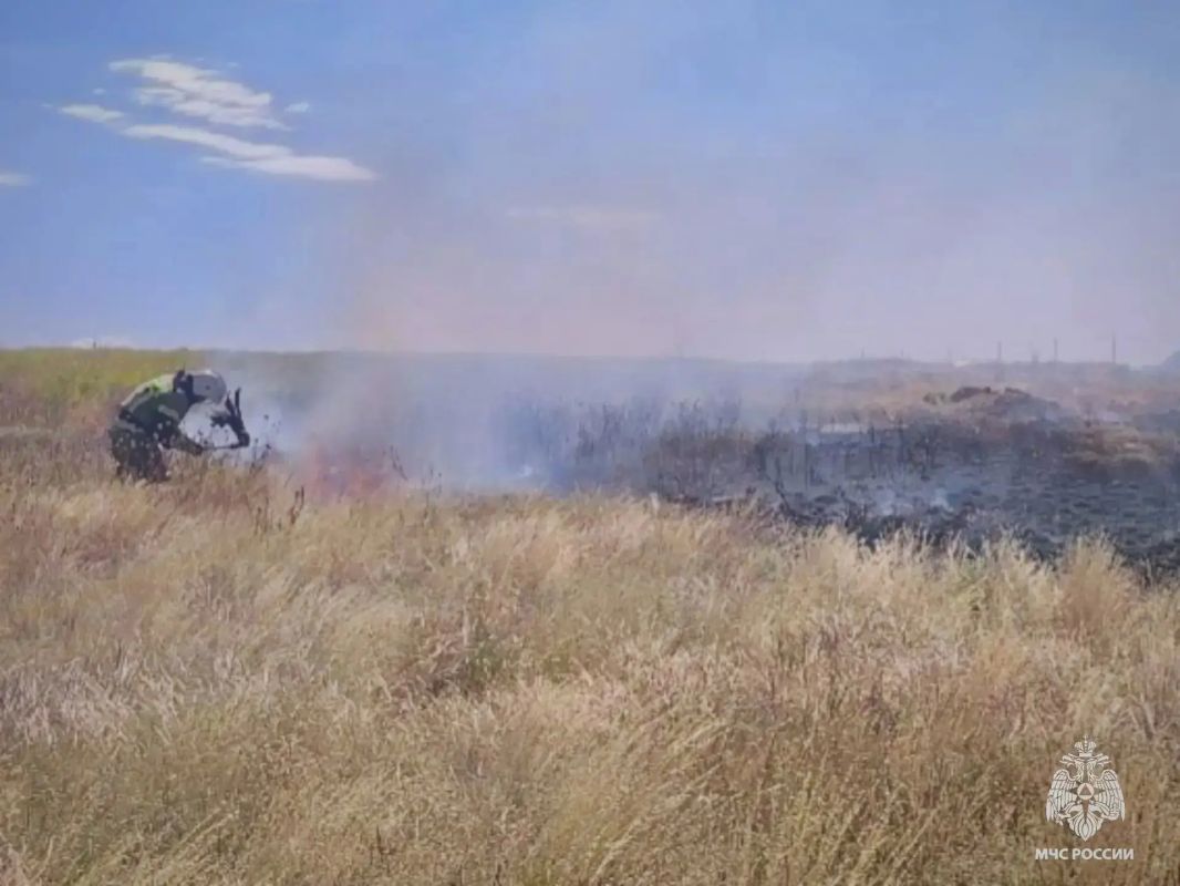 В Элисте ликвидировано возгорание сухой травы В Элисте ликвидировано возгорание сухой травы