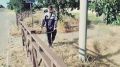 � ���������� ��� ���������� �������� � ������ �������� ����������