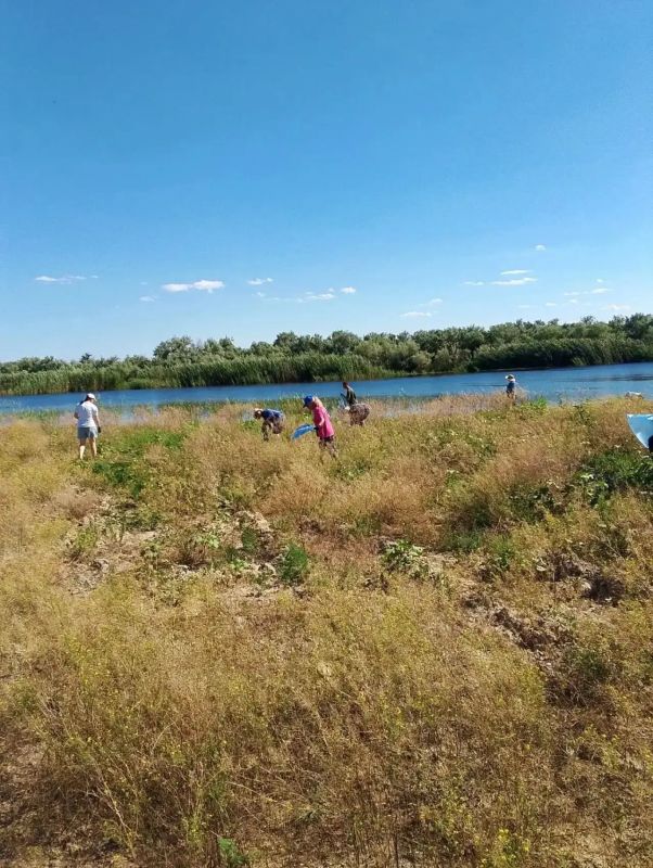 Сегодня в Лагани завершился экологический марафон, приуроченный ко Дню Республики Калмыкия Сегодня в Лагани завершился экологический марафон, приуроченный ко Дню Республики Калмыкия