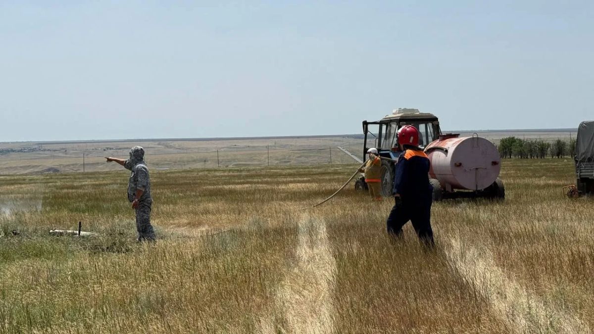 Рабочие будни в лесном хозяйстве — это череда напряжённых смен, где ритм задаёт не только план, но и сама природа Рабочие будни в лесном хозяйстве — это череда напряжённых смен, где ритм задаёт не только план, но и сама природа