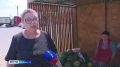 На столичных прилавках появились ранние сорта арбузов