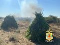 В Калмыкии подвели итоги второго этапа операции «МАК»