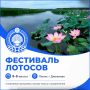 Фестиваль лотосов — одно из самых ярких событий летнего туристического сезона в Калмыкии!