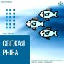 Камбала по выгодной цене: не пропустите сегодня