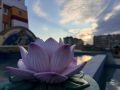 В День первого поворота Колеса Учения в Центральном хуруле даровали однодневные обеты Махаяны
