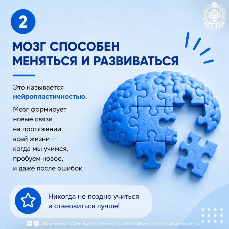 22 июля — Всемирный день мозга 22 июля — Всемирный день мозга