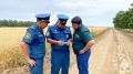 Минерализованные полосы — надёжный рубеж на пути огня